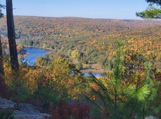 1 Eagle View Rd, Narrowsburg, NY 12764