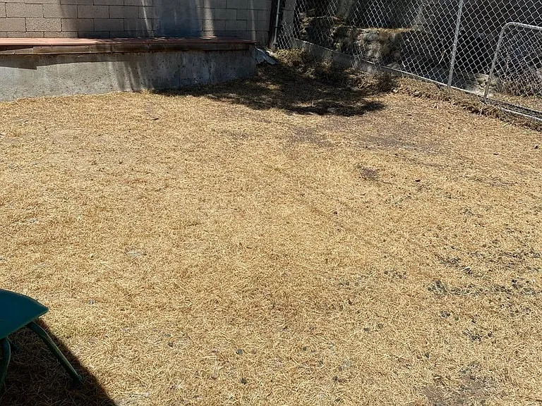 7110 Mohawk St #A — Photo 34