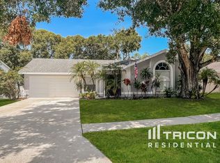 653 Sand Ridge Dr, Valrico, FL 33594