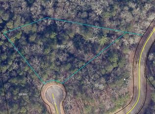 LOT 38 Spy Ct, Clarkesville, GA 30523