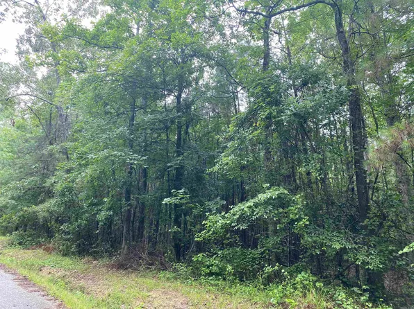 0 Holland Dr, Sheridan, AR 72150