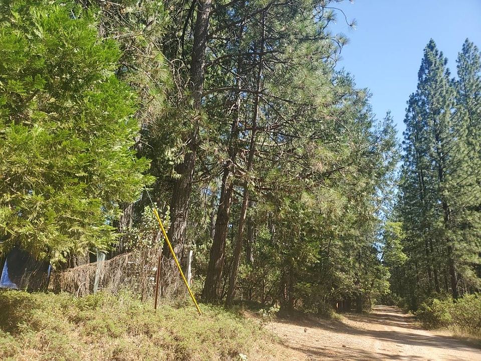 2nd image of 303 Thom Rd