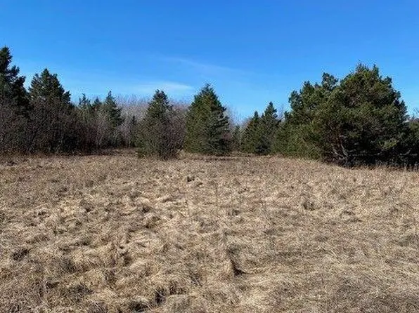 2325 E Petes Rd, Rudyard, MI 49780