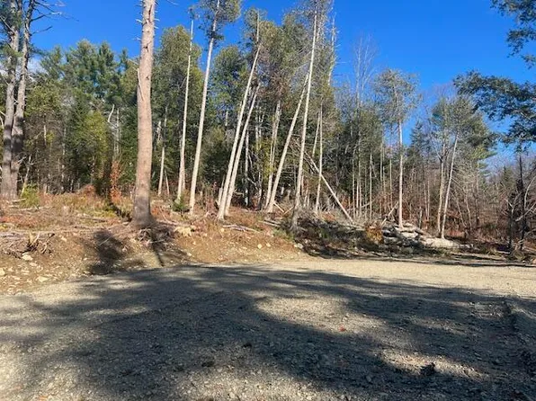 Lot 5 Peterson Road, Bowerbank, ME 04426