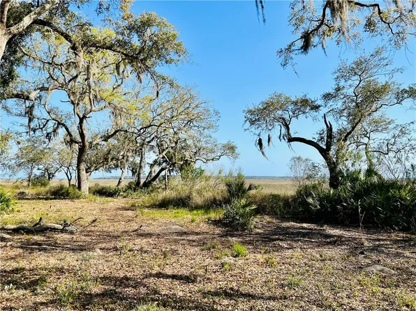 306 Coopers Point Dr NE, Townsend, GA 31331