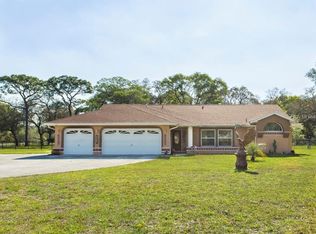 16230 Fiscus Dr, Spring Hill, FL 34610