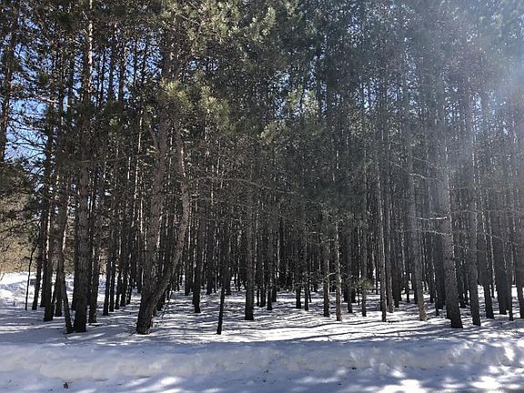5th image of 12479 Sundance Dr