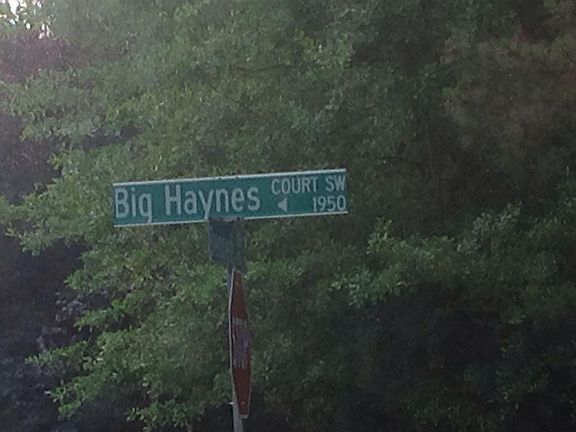 5th image of 1880 Big Haynes Ct