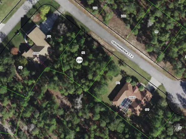 11 Crossandra Court E, Homosassa, FL 34446