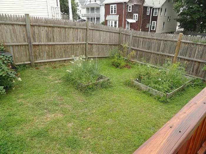 Walnut St — Photo 61