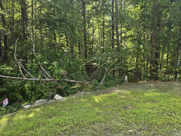 0 Eagle Mountain Way, Newport, TN 37821