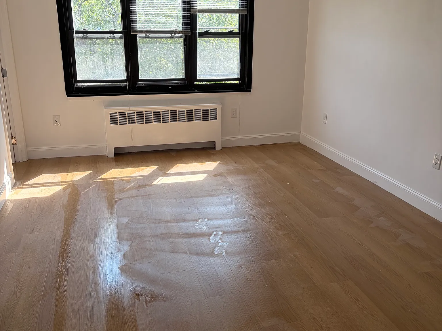 3 bed, $3,950 — Photo 2