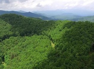 46 Waterfalls Hts, Sylva, NC 28779