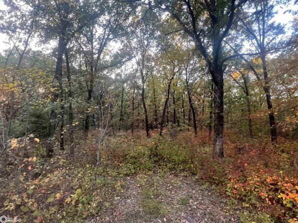 125th Rd, Birmingham, IA 52535