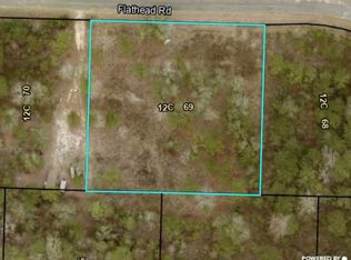 Flathead Rd, Vienna, GA 31092