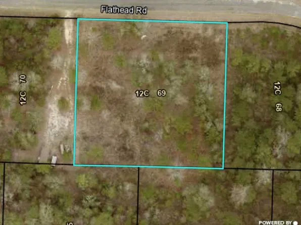 Flathead Rd, Vienna, GA 31092