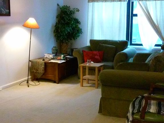 3rd image of 141-60 84th Road #3K