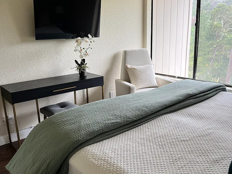 Comfortable large eastern King bed 2nd bedroom. Large closet with dresser.