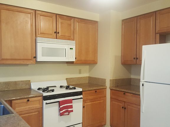 4th image of 2337 Mesquite Ln
