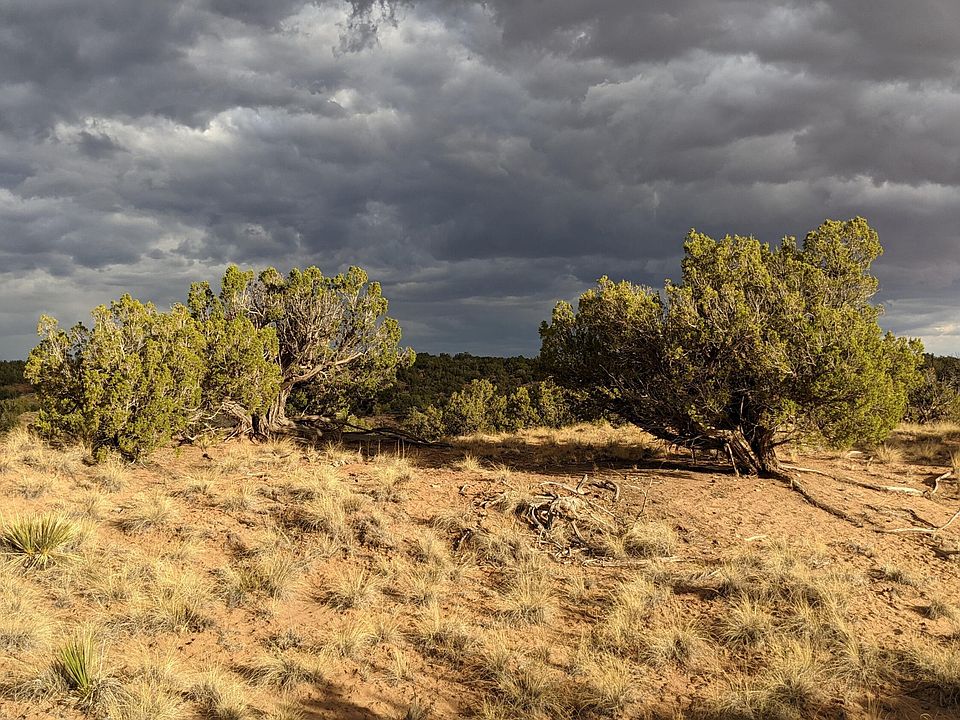 1st image of LOT 193 Woodland Valley Ranch St