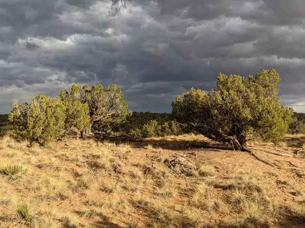 LOT 193 Woodland Valley Ranch St, Saint Johns, AZ 85936