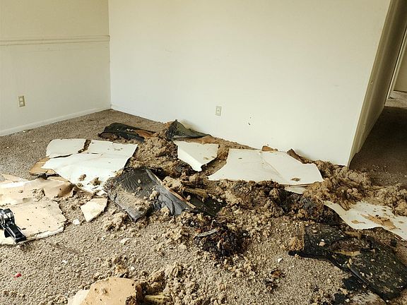 4th image of 2817 SE Jefferson St