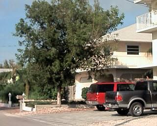 5th image of 0 S Coconut Palm Blvd