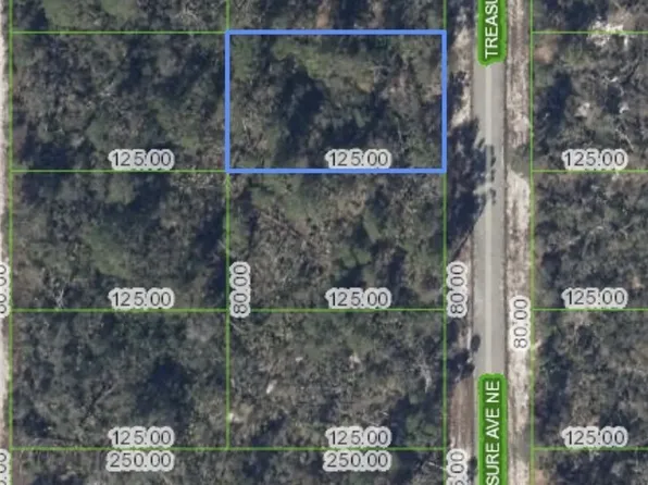 215 Treasure Ave, Lake Placid, FL 33852
