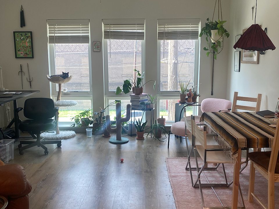 Livingroom area. - spot the kitty! Pets are welcome!