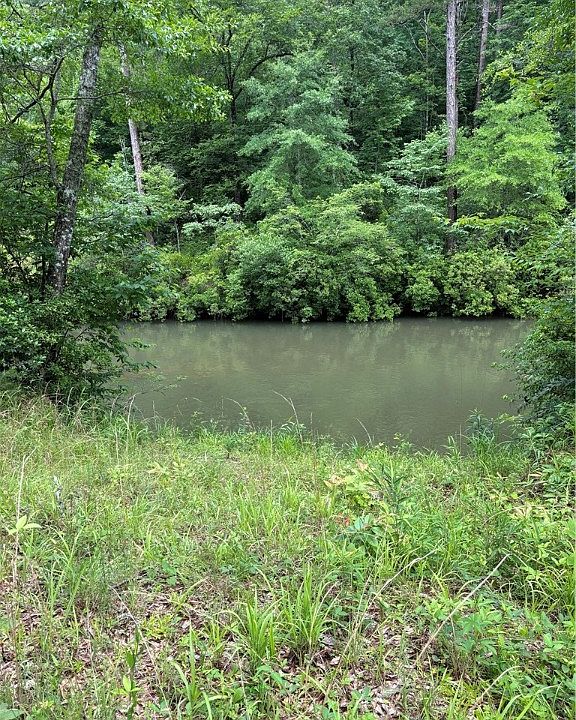 1st image of 22 Chauga Shoals Dr