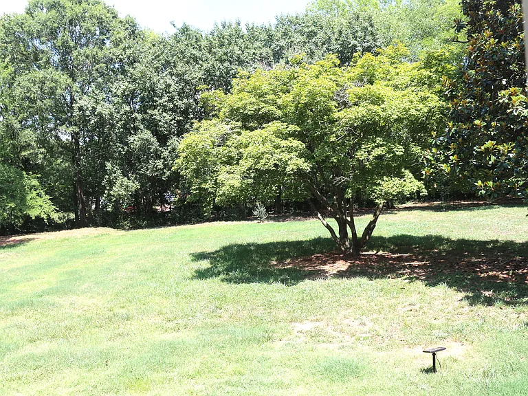 580 Odell School Rd — Photo 13