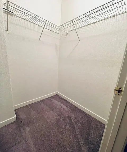 213 Heiple Ct #0 — Photo 30