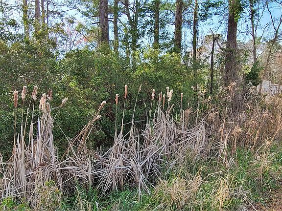 5th image of 1129 Wrenn Drive SW LOT 188