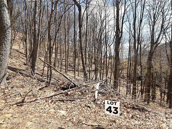 5th image of 43 Marble Stone Dr