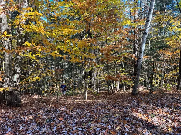 Lot 2 Laurel Lane, Wilmot, NH 03287