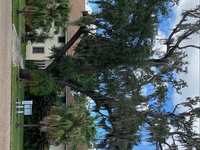 627 E Concord St #F — Photo 6
