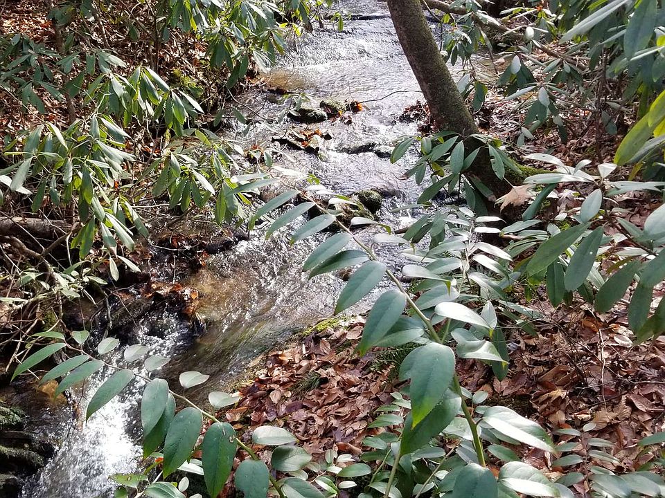2nd image of TR1 & 2 Water View Ln