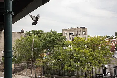 Rented by Garden Management