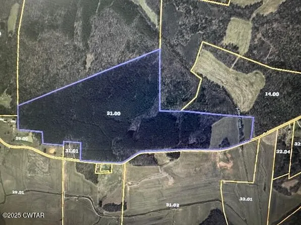 0 Marlboro Rd, Hollow Rock, TN 38342