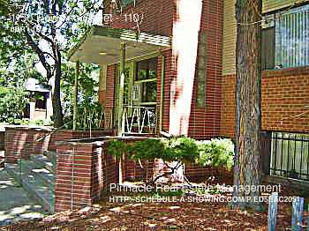1st image of 1150 Downing St APT 110