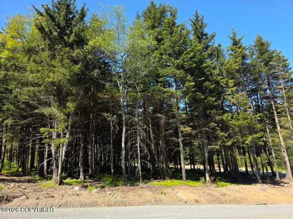 LOT 25 Martin Ave, Haines, AK 99827