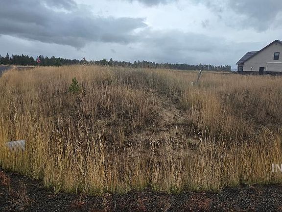 3rd image of 13146 Hawks Bay Rd