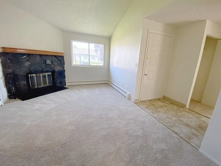 4446 Reka Dr — Photo 16