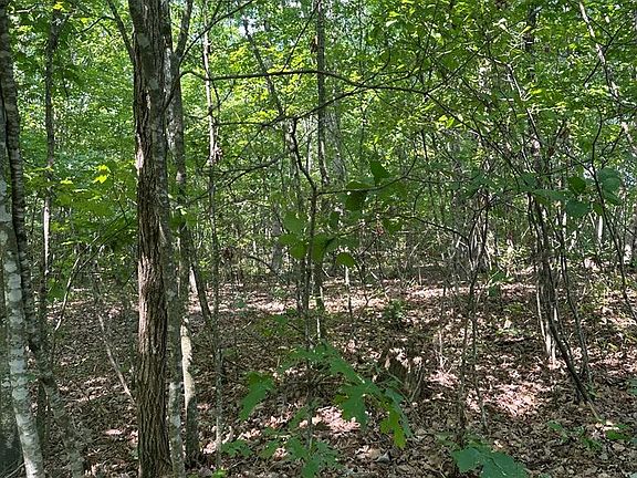 4th image of LOT 323 Flat Top View Ln