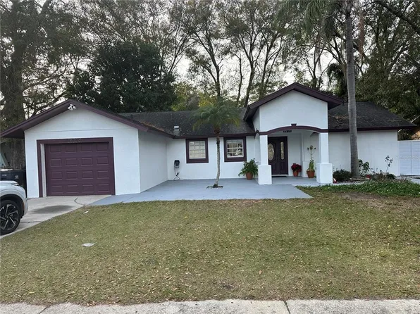 14006 Capitol Dr, Tampa, FL 33613