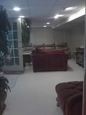 Finished Walkout Basement w/Fireplace