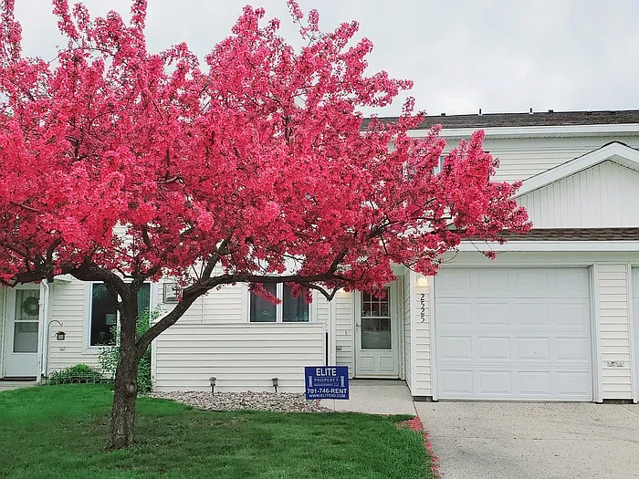 2 bed, 1.5 bath, 1062 sqft, $1,350 — Photo 1