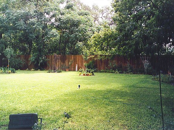 Large Back Yard