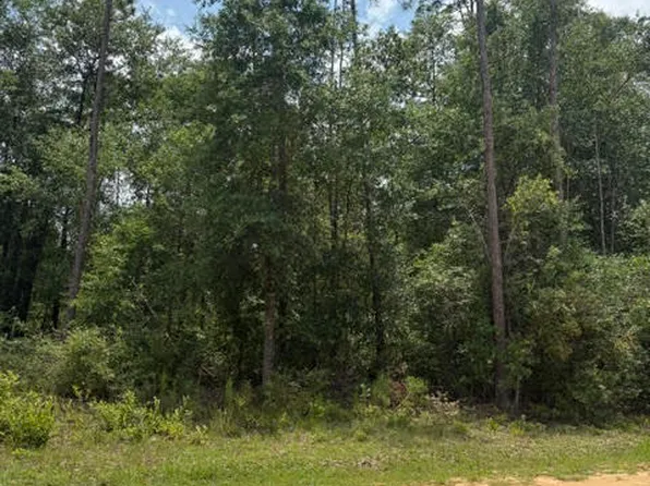 0 Forest Glen Dr, Fountain, FL 32438