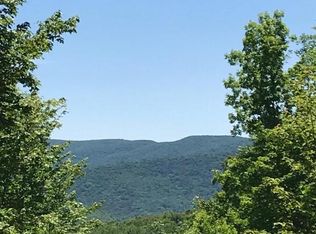 0 Shaver Hill Rd, Andes, NY 13731